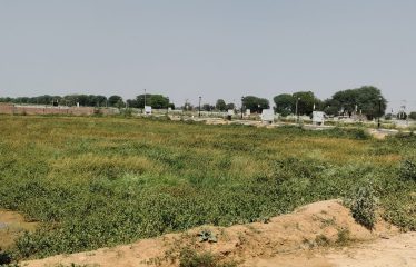 Amolik Plots in Sector 98 Faridabad